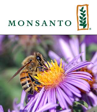Pollinating Monsanto's IP IP Management
